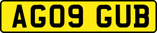 AG09GUB