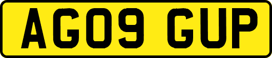 AG09GUP