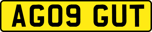AG09GUT