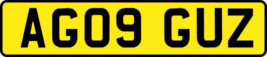AG09GUZ