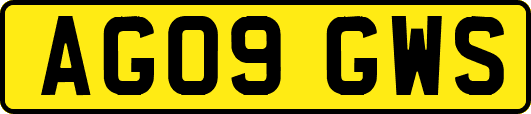AG09GWS