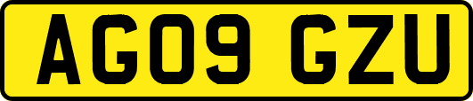 AG09GZU