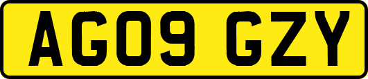 AG09GZY
