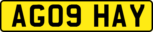 AG09HAY