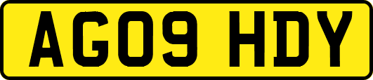 AG09HDY