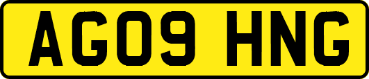 AG09HNG
