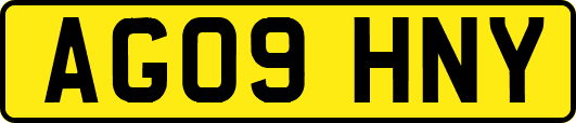 AG09HNY
