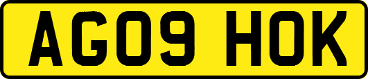 AG09HOK