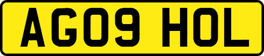 AG09HOL