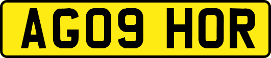 AG09HOR