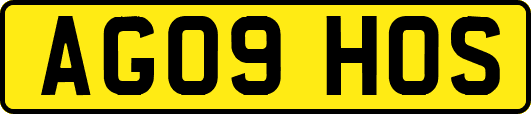 AG09HOS