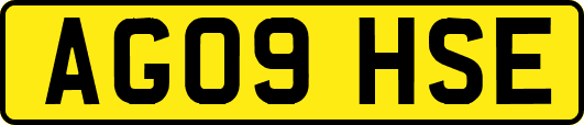 AG09HSE