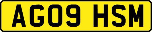 AG09HSM