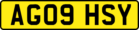 AG09HSY