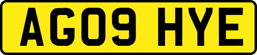 AG09HYE