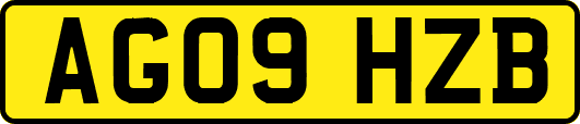 AG09HZB