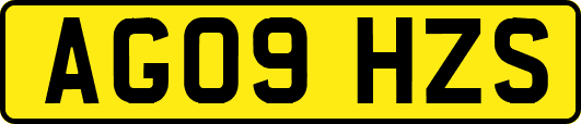 AG09HZS