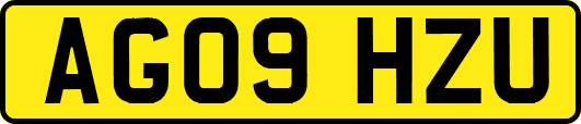 AG09HZU