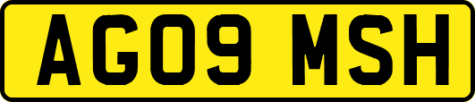 AG09MSH