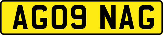 AG09NAG