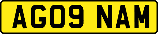 AG09NAM
