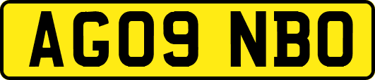 AG09NBO
