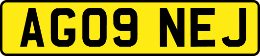 AG09NEJ