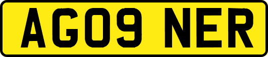 AG09NER