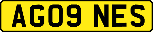 AG09NES
