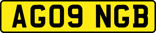 AG09NGB