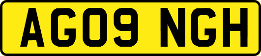 AG09NGH