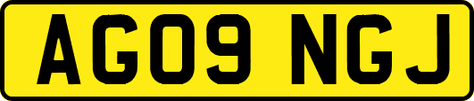 AG09NGJ