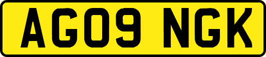 AG09NGK