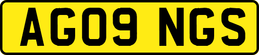 AG09NGS