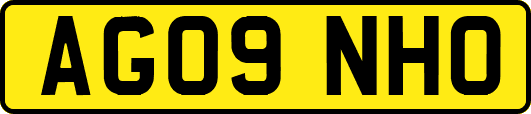 AG09NHO