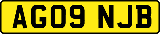 AG09NJB