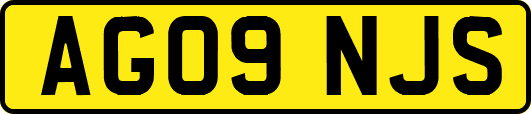AG09NJS
