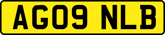AG09NLB