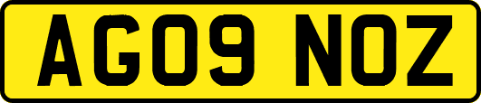 AG09NOZ