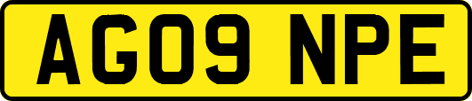 AG09NPE