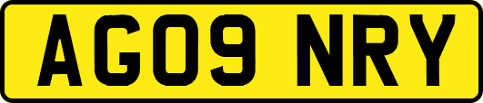 AG09NRY