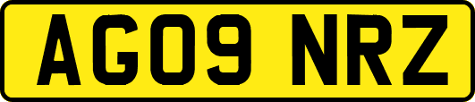AG09NRZ