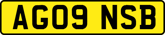 AG09NSB