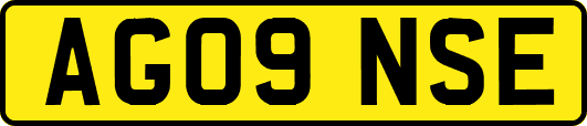 AG09NSE