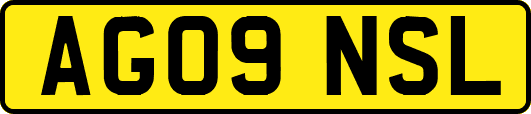 AG09NSL