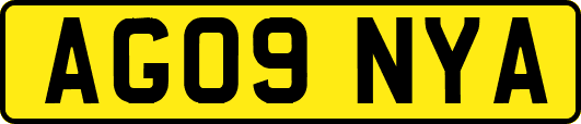 AG09NYA