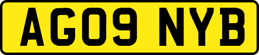 AG09NYB