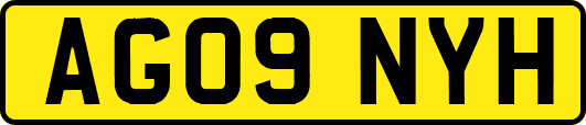 AG09NYH
