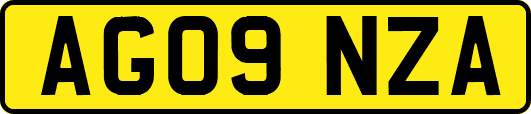 AG09NZA