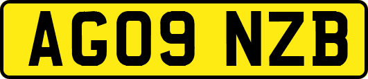 AG09NZB